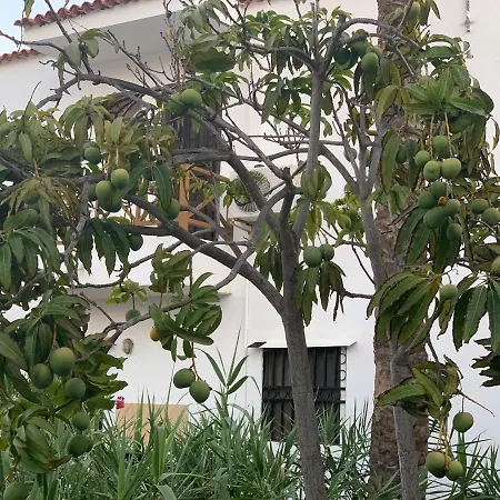 Ocean Beach Paradise Apartment Costa Adeje  Buitenkant foto